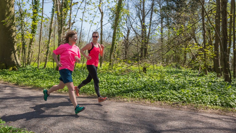 Runners on the woodland trail at Kingston Lacy, Dorset